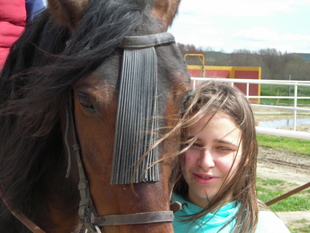  Pampering the horse